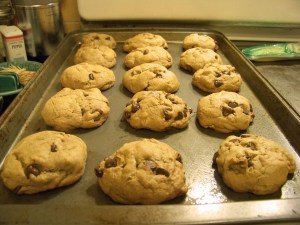Gluten-free Chocolate Chip Cookies