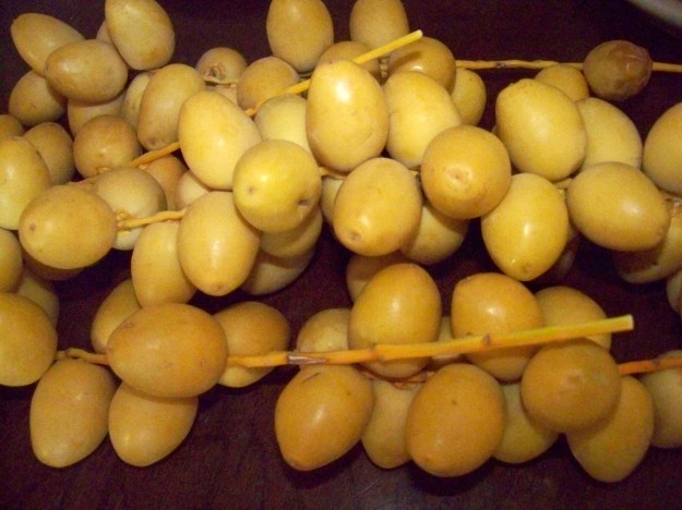 Blondies on the stem. Or is it stalk?