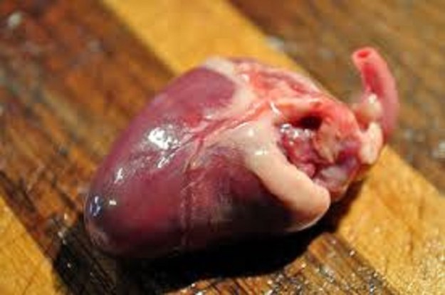 The Deadly Chicken Heart!