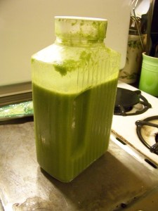 Incredible Hulk sits on stove top without fear