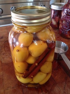 Blondies in a bottle