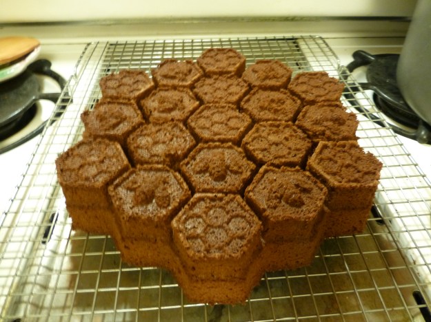 19 little mini-cakes of goodness.